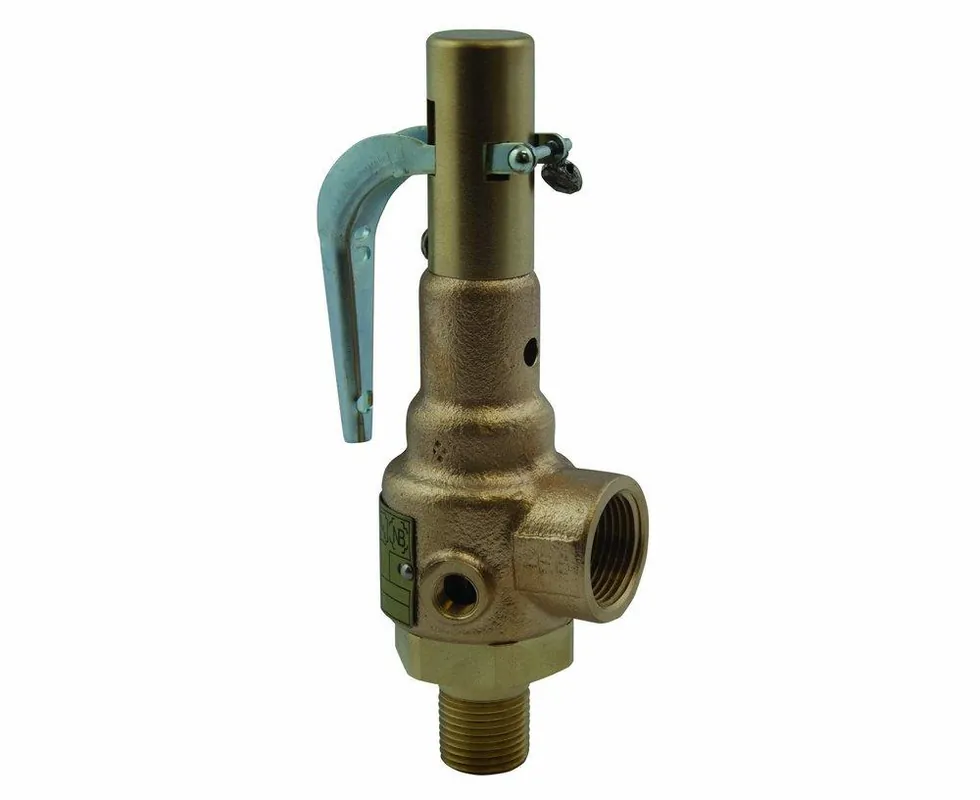 SK0404374-US20260702-105043-0 Apollo Valves 19-KJHA-125 19 Series 2 x 2.5 Inch 125# Bronze Threaded Relief Valve - Image 1