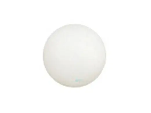 Pentair R172435 1-Inch Poly Check Ball Replacement Pool and Spa High Capacity Automatic Feeder