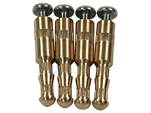 SK0410703-US20260702-105043-0 AquaStar BIK4 Brass Insert Kit for Suction Outlets (Set of 4) - Image 1