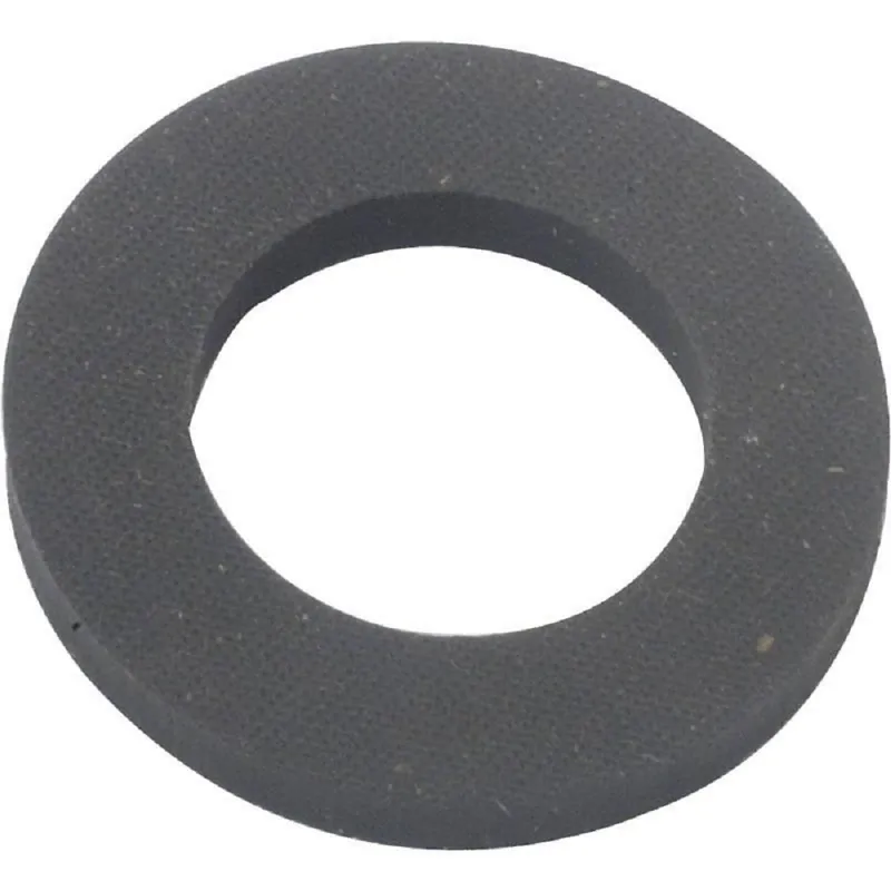 Pentair 14971-SM10E16 Sight Glass Gasket for Multiport Valves