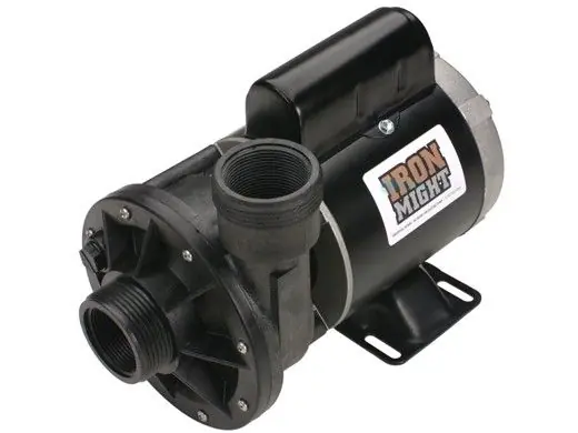 SK0411283-US20260702-105043-0 Waterway Plastics 3J10070-1E Iron Might Pump 230 Volt - Image 1
