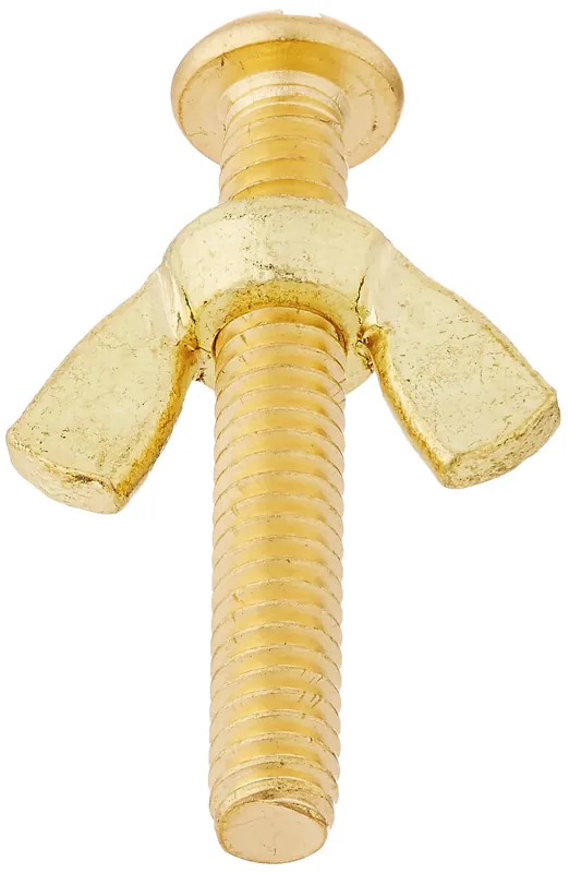 SK0411320-US20260702-105043-0 Pentair R221156 Brass Wing Bolt and Nut for Pool Maintenance - Image 1
