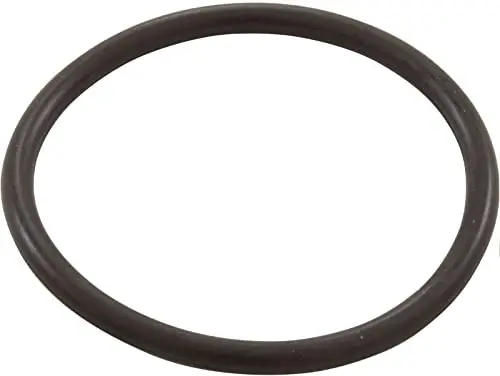 SK0411441-US20260702-105043-0 Waterway Plastics 805-0224B O-Ring 1.5 Inch Union Tailpiece for Heater Sand Filter - Image 1