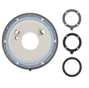 Lochinvar 100173749 Heat Exchanger Access Door