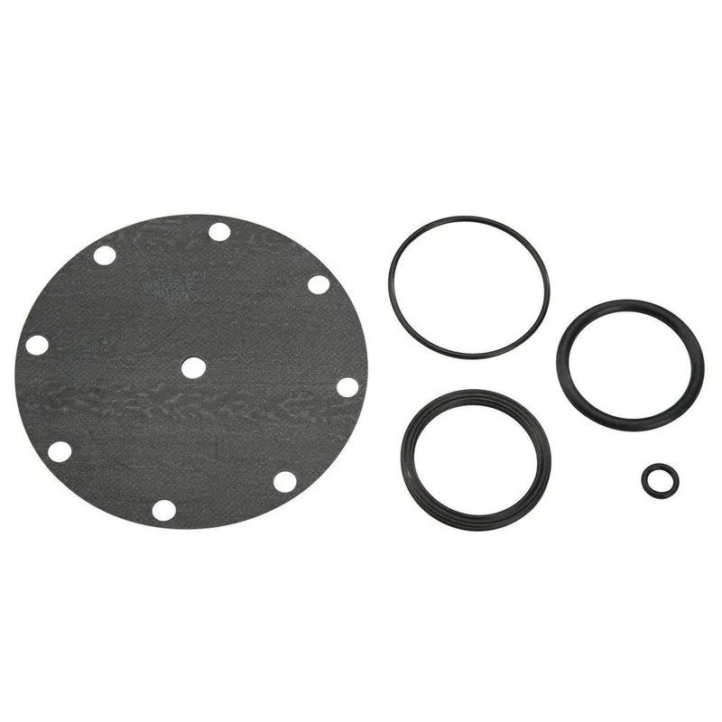 Watts 5346-01 Series RK-F100 2 in Marta Inferno Valve Kit - W534601