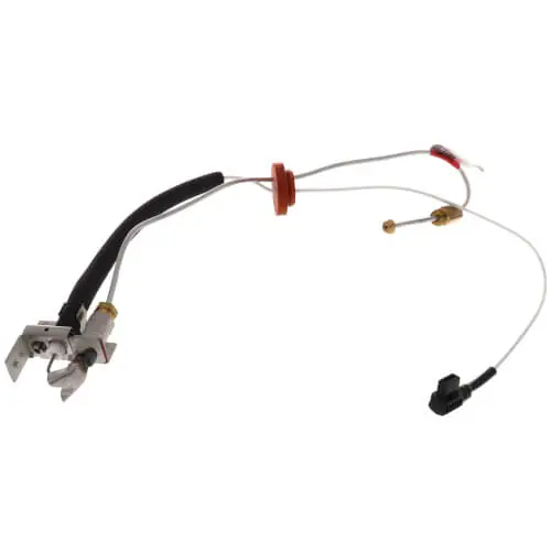 SK0414650-US20260702-105043-0 Rheem-Ruud AP14700D-1 Pilot Assembly - DV - LP - Image 1