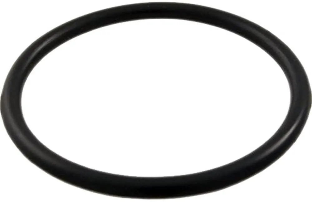 SK0415844-US20260702-105043-0 Waterway 805-0224 Sand Filter Drain O-Ring - Image 1