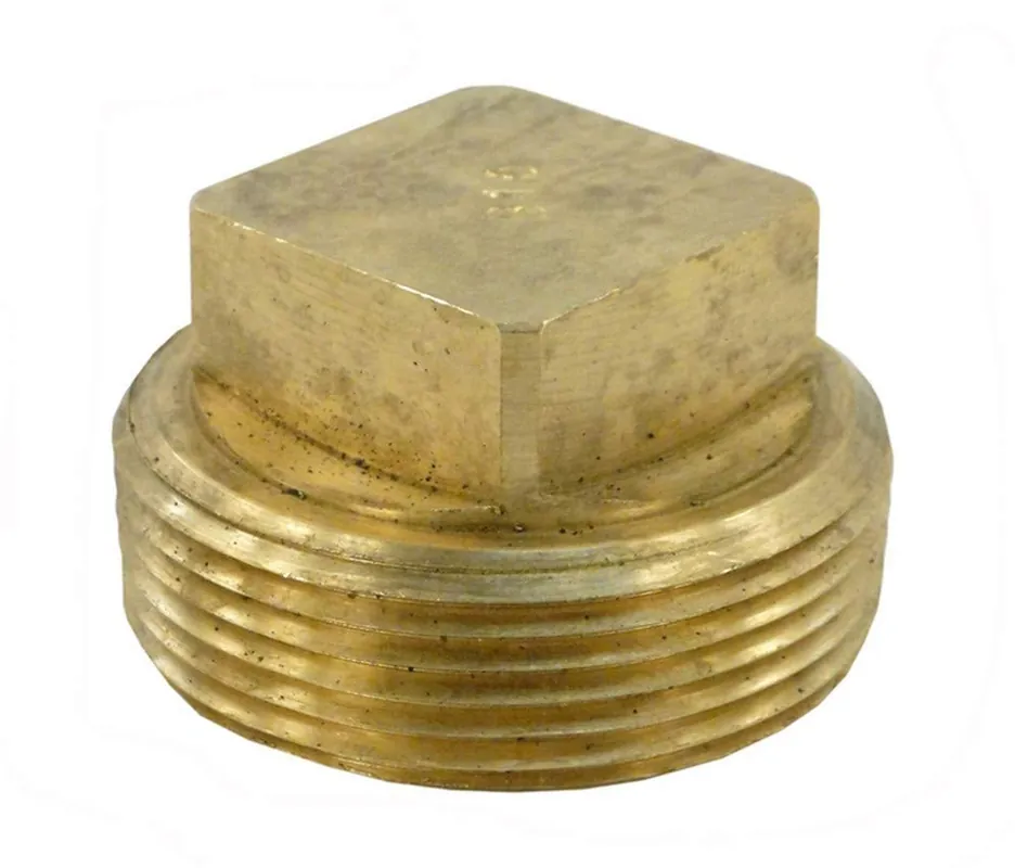 SK0416221-US20260702-105043-0 Raypak 013738F Unitherm Governor Plug for Raypak Heaters - Image 1