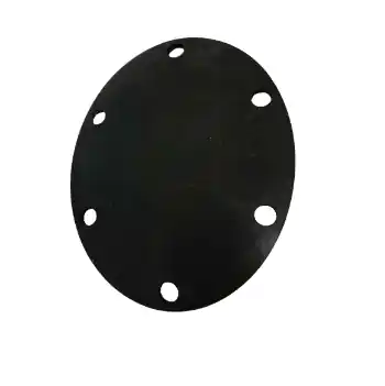 SK0417265-US20260702-105043-0 Lochinvar 100191119 Burner Plate Gasket - Image 1
