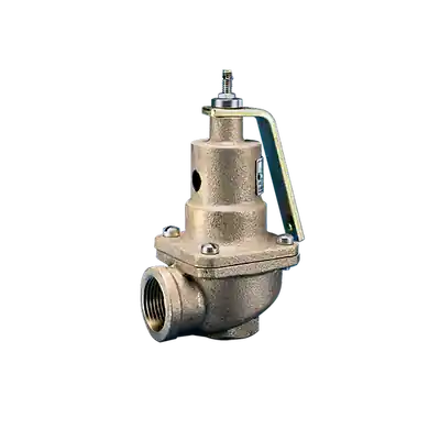 Kunkle Valve 0537-D01-AHM0150 3/4x1 150# Relief Valve