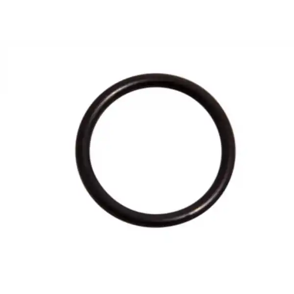 Lochinvar 100076308 O-Ring FKM Replacement Part