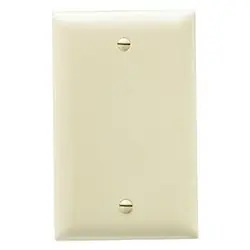 Pass & Seymour TP13I 1-Gang Blank Wall Plate, Box Mount, Nylon, Standard - Ivory