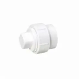 SK0423498-US20260702-105043-0 MUEL 06002 PVC DWV Cleanout Adapter with Plug 2 Inch Spigot x FPT End - Image 1