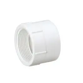 SK0424132-US20260702-105043-0 MUEL 05867 PVC DWV Female Adapter, 2 Inch, FPT x Hub End - Image 1