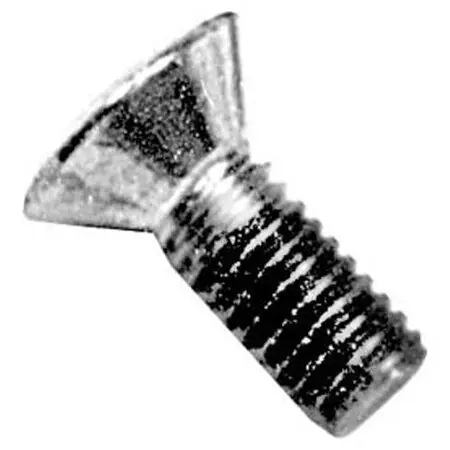 SK0426717-US20260702-105043-0 Allpoints 261499 Screw - Image 1
