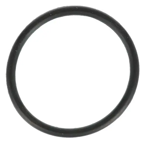 SK0427685-US20260702-105043-0 O-RING for Bunn 24733.0010 - Image 1
