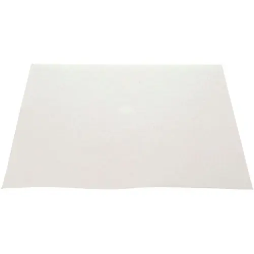 SK0427870-US20260702-105043-0 FILTER ENVELOPES 100PK for Pitco PTPP10613 - Image 1