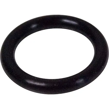 SK0429393-US20260702-105043-0 Allpoints 118919 O-Ring Spout Enc 1 EA - Image 1