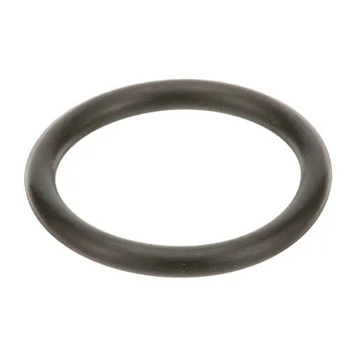 SK0434490-US20260702-105043-0 O-Ring Plunger for 1001044 for Mavrik - Image 1