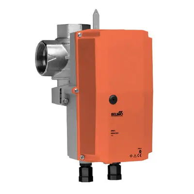 Belimo B317+NRX24-SR-T-N4 CCV
