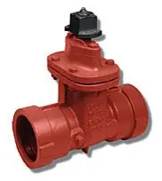 SK0454745-US20260702-105043-0 Matco-Norca 10RT08 Gate Valve 200 PSI CWP 2 Inch - Image 1